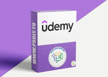 Udemy - Google Gemini in Chat and Meet