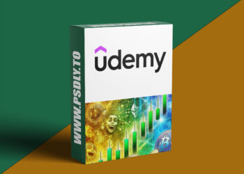 Udemy - Trading Meme Coins: How To Find Meme Coins Early