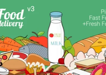 Videohive Food Delivery 9474821