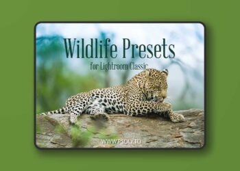Wildlife Presets for Lightroom Classic ULZ3J96