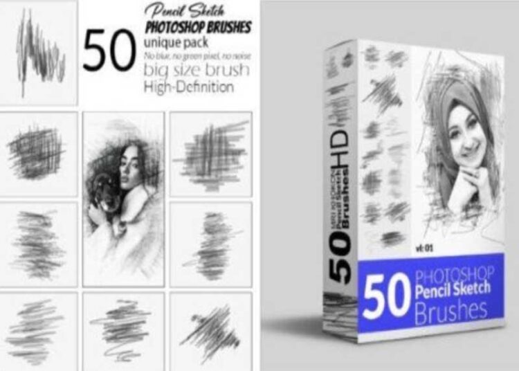 50 Pencil Sketch Brush Bundle 1 50 Pencil Sketch Brush Bundle