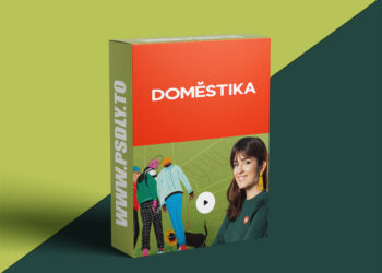 Domestika - Animated Frame by Frame Illustrations