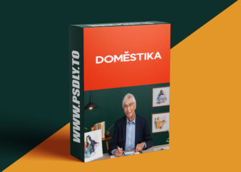 Domestika - Intro to Portrait Sketching: Draw in Real-Time