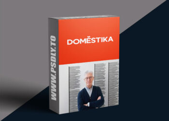Domestika - The Laws of Visual Perception Unit, Weight, Balance and Movement