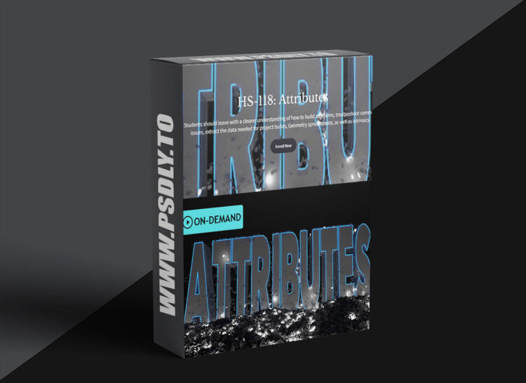 Houdini School – HS-118 – Attributes 1 Houdini School – HS-118 – Attributes