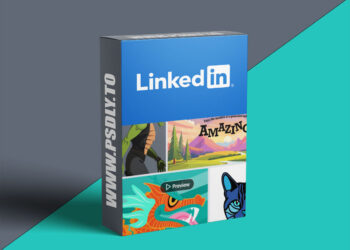 Illustrator 2025 Essential Training