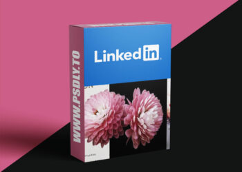 InDesign 2025 Essential Training