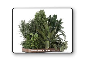 3dsky Pro - Outdoor Garden Set Bush and Tree 2615