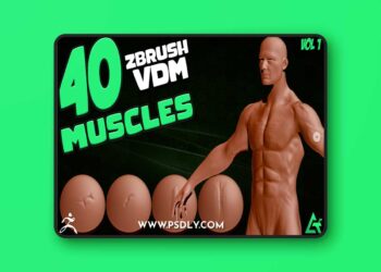 Artstation - 40 Real Muscles VDM Brush
