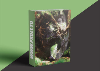 CGCookie - Creating Plants in Blender