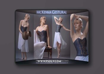 Cubebrush - Howard Lyon - McKenna Gestural