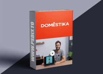 Domestika - Illustration and lettering for packaging design