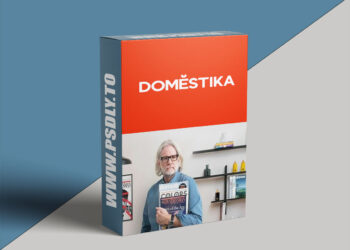 Domestika - Innovative Design Systems for Editorial and Digital Media