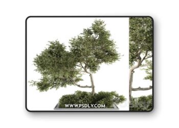 Garden set Tree and Bush - Garden Set 13