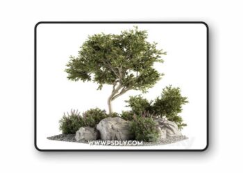 Garden set Tree and Bush - Garden Set 18 3D Model