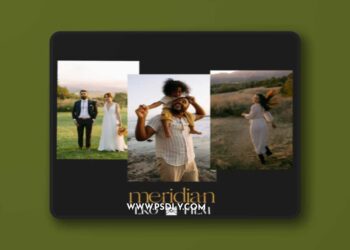 Meridian - LKO Film Presets