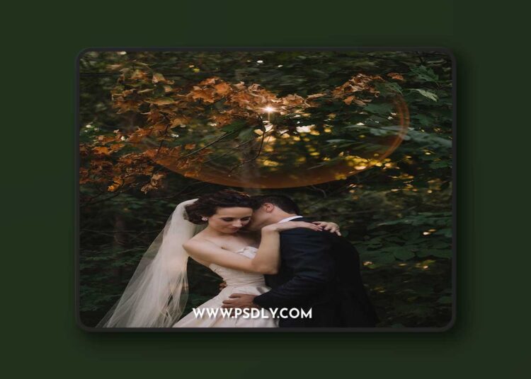 Meridian Presets - HELIOS 1 Meridian Presets - HELIOS