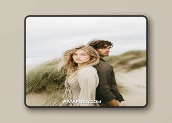 Modern Market - Modern Kodak Gold 200 Lightroom Presets