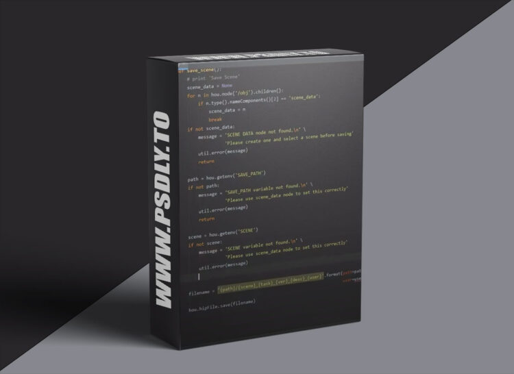 Rebelway - Python for Houdini artist 1 Rebelway - Python for Houdini artist