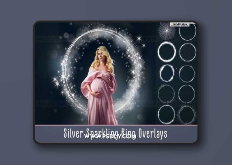 Silver Sparkling Ring Overlays 3D Model 1 Silver Sparkling Ring Overlays 3D Model