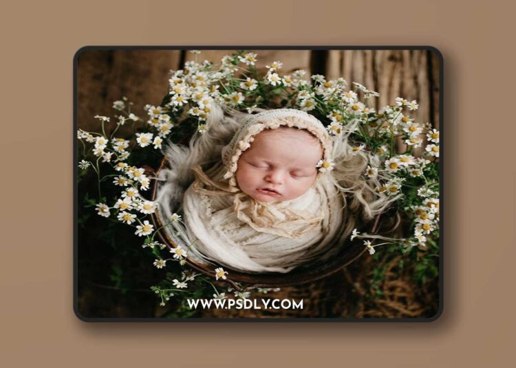 Twig & Olive - Floral Matte LR 1 Twig & Olive - Floral Matte LR