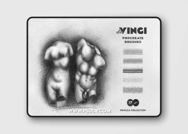 17 Sketch Pencil Brushes Pack for Procreate 1 17 Sketch Pencil Brushes Pack for Procreate