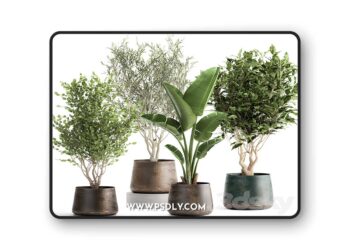 3dsky Pro - Collection of tree plants in outdoor metal rusty pots Banana palm, . Set 949.