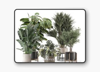 3dsky Pro - Indoor Plants in Ferm Living Bau Pot Large - Set 1328