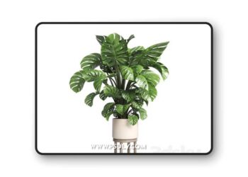 3dsky Pro - Indoor plant 89 wood vase pot plant monstera