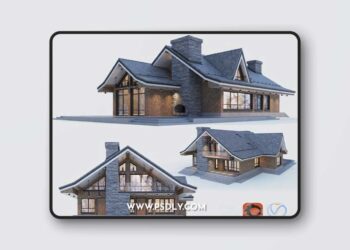3dsky Pro - Modern half-timbered house with a residential attic