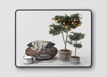 3dsky Pro - Orange Trees set 03 3D Model
