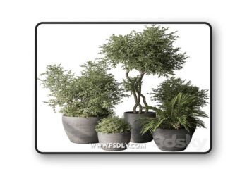 3dsky Pro - Outdoor Plant Set 393 - Plant Set in Concrete Pot