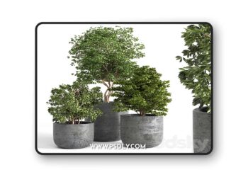 3dsky Pro - Outdoor plant 06 3D Model