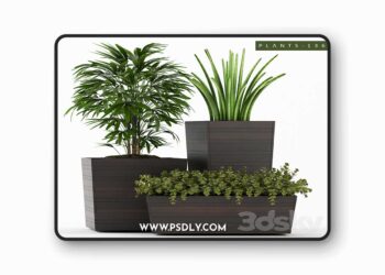 3dsky Pro - PLANTS 136 3D Model
