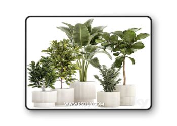 3dsky Pro - Plant collection 1407 3D Model