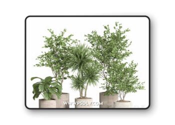 3dsky Pro - indoor plant set 59-Concrete pot