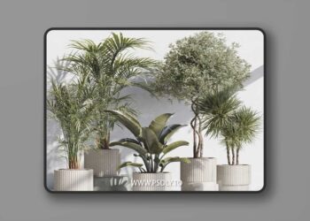3dsky Pro - indoor plant set 69 3D Model