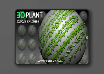 Artstation - 30 Plant Curve Brushes for ZBrush