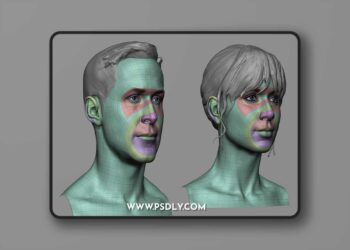 Artstation - Production ready head base mesh - Tom Parker
