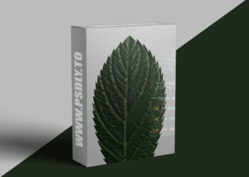 Cgside - Vex quick tips | Overhang look with channel ramps - hip