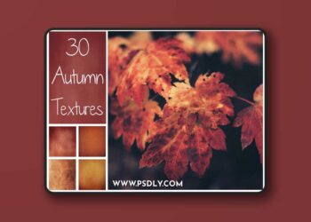 CreativeMarket - 30 Autumn Textures - 1739211