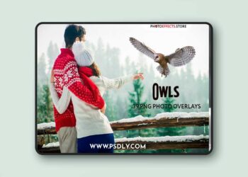 CreativeMarket - 39 Owl Photo Overlays - 3909270