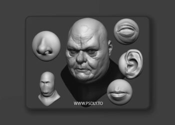 FlippedNormals - Face VDMs 3D Model