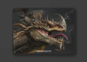 FlippedNormals - Skin Kit 3D Model