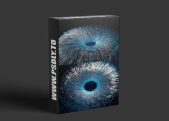 Gumroad - Eye Effect Using Geometry Nodes