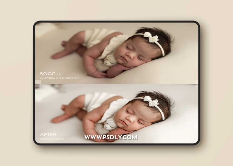 Jessicagphotography - Blossom Lightroom ACR Presets 1 Jessicagphotography - Blossom Lightroom ACR Presets