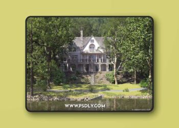 Maxtree - Plant Models 89 3D Model