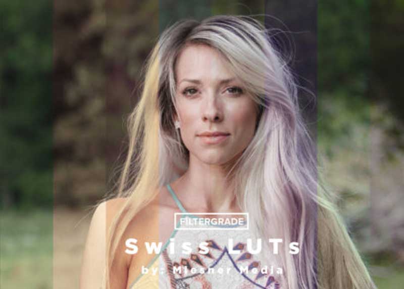 Theo Miesner Swiss Video LUTs