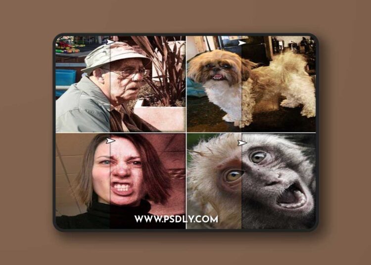 Vintage Actions for Photoshop 1 Vintage Actions for Photoshop