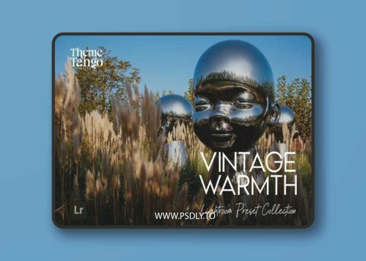 12 Warm Vintage Film Lightroom Presets 1 12 Warm Vintage Film Lightroom Presets